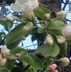 Meet your Posher, Jayne